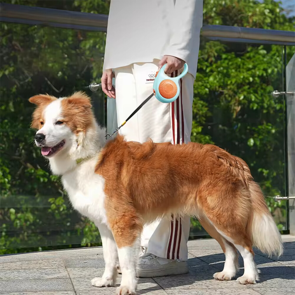 3M Outdoor Pet Supplier Retractable Dog Leash