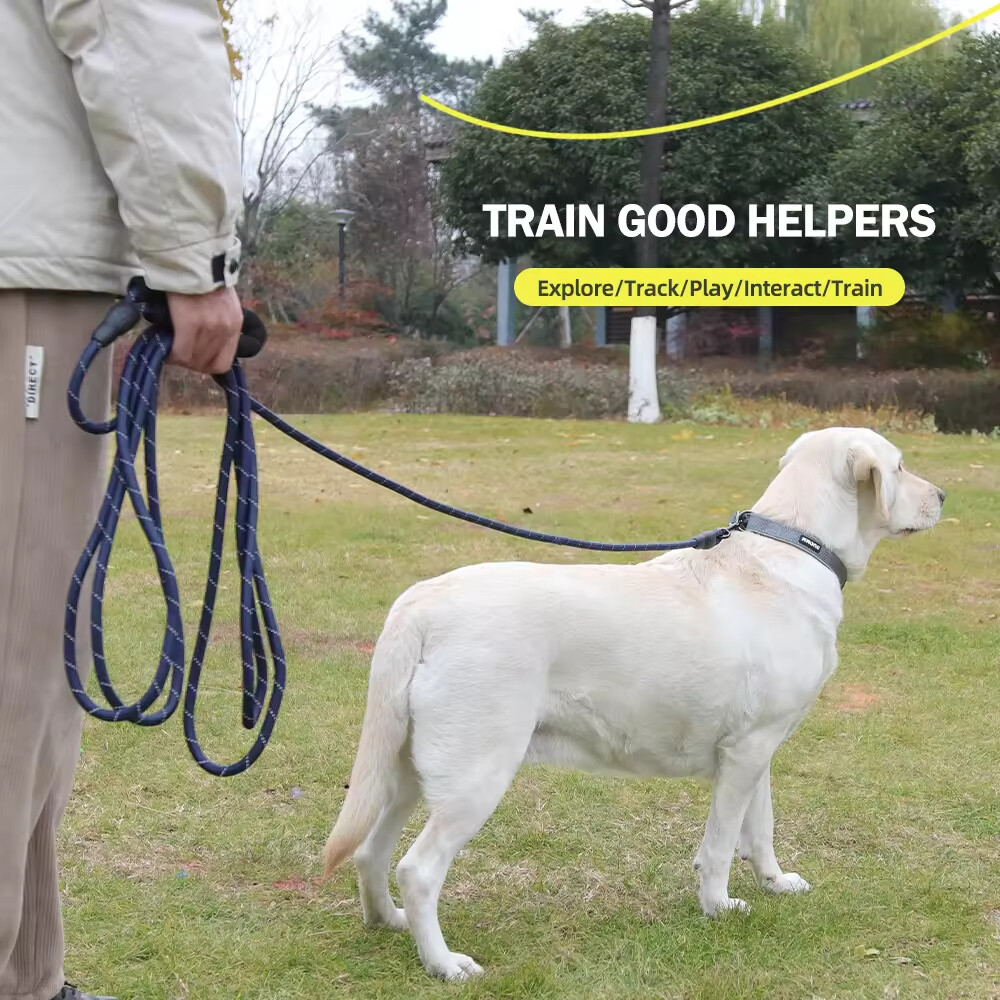 Custom Logo Outdoor Nylon Pet Rope Leash Dog