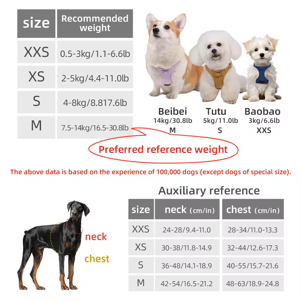 Fawn Velvet Custom Logo Dog Collar and Leash Harness Set