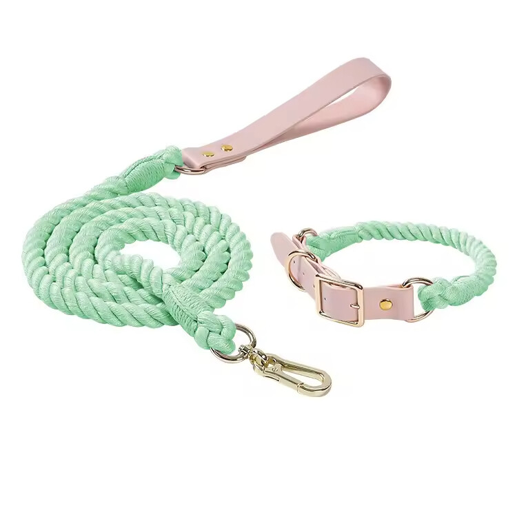 PU Leather Woven Rope Colorful Custom Logo Dog Collar and Leash Set