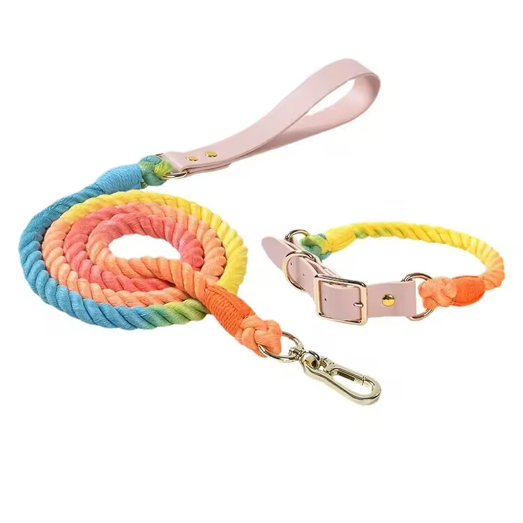 PU Leather Woven Rope Colorful Custom Logo Dog Collar and Leash Set