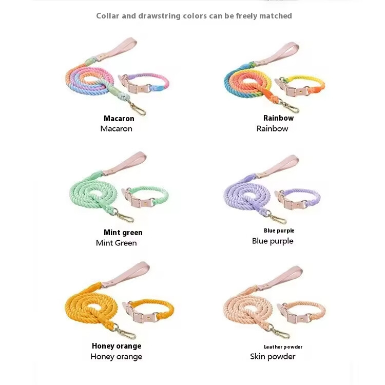 PU Leather Woven Rope Colorful Custom Logo Dog Collar and Leash Set
