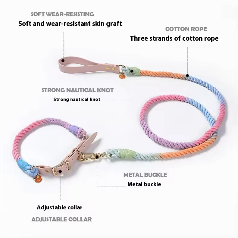 PU Leather Woven Rope Colorful Custom Logo Dog Collar and Leash Set
