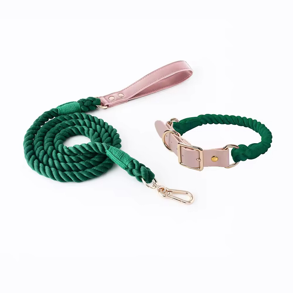 PU Leather Woven Rope Colorful Custom Logo Dog Collar and Leash Set