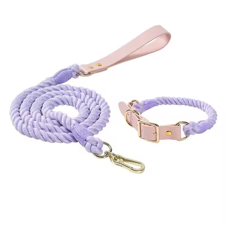 PU Leather Woven Rope Colorful Custom Logo Dog Collar and Leash Set