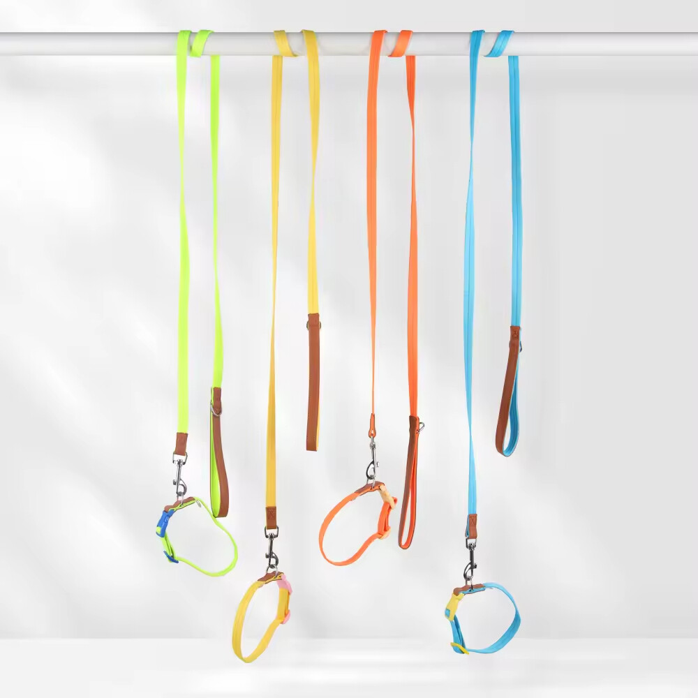 Nylon Leather Adjustable Dog Collars and Leads