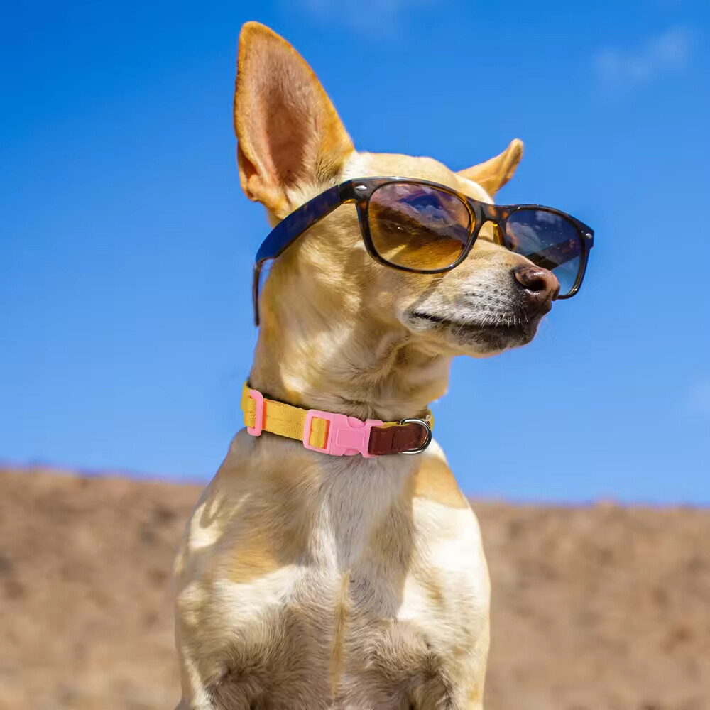 Nylon Leather Adjustable Dog Collars and Leads