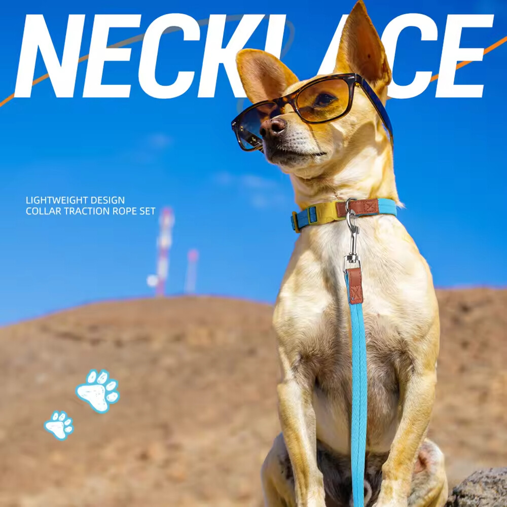 Nylon Leather Adjustable Dog Collars and Leads