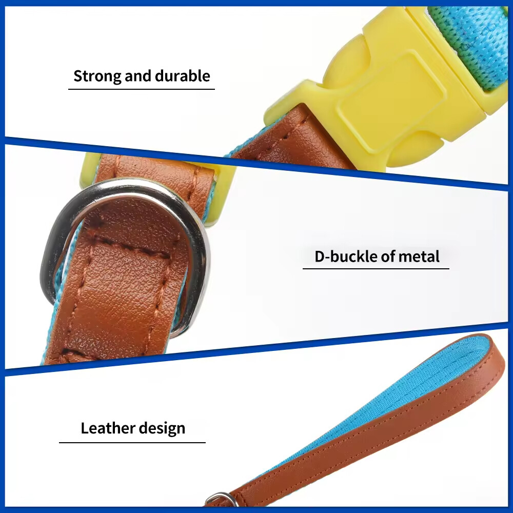 Nylon Leather Adjustable Dog Collars and Leads