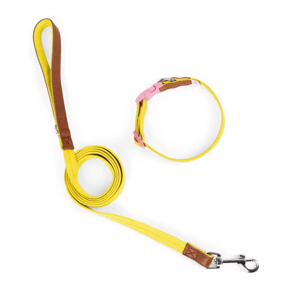 Nylon Leather Adjustable Dog Collars and Leads