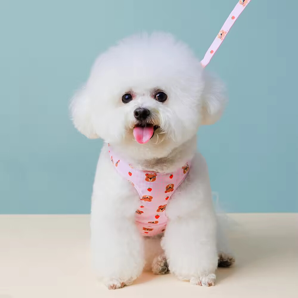 Cute Design Breathable Mesh Small Dog Harness with Bag