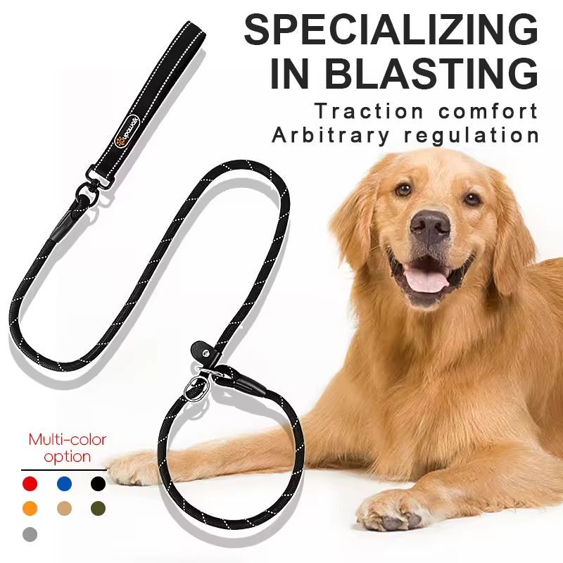 Cheap Nylon Pet Dog Rope Leash