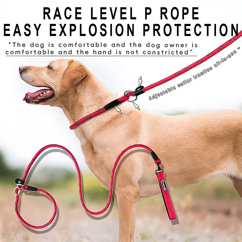 Cheap Nylon Pet Dog Rope Leash