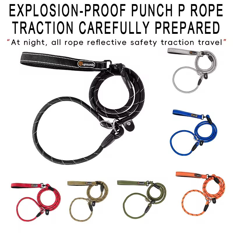 Cheap Nylon Pet Dog Rope Leash