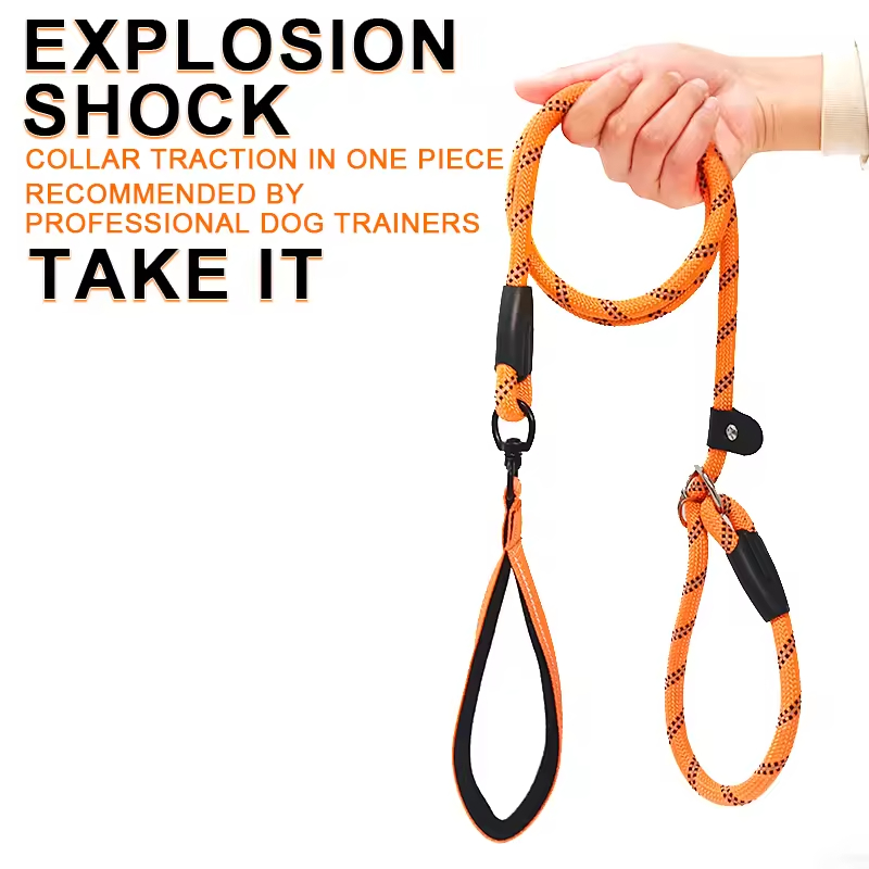 Cheap Nylon Pet Dog Rope Leash