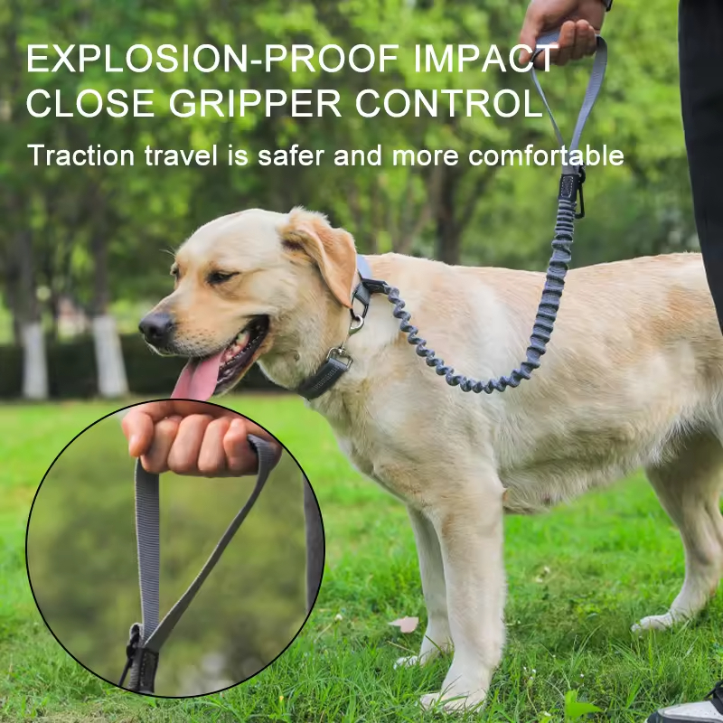 Nylon Pet Car Seat Belt Dog Leash Extendable