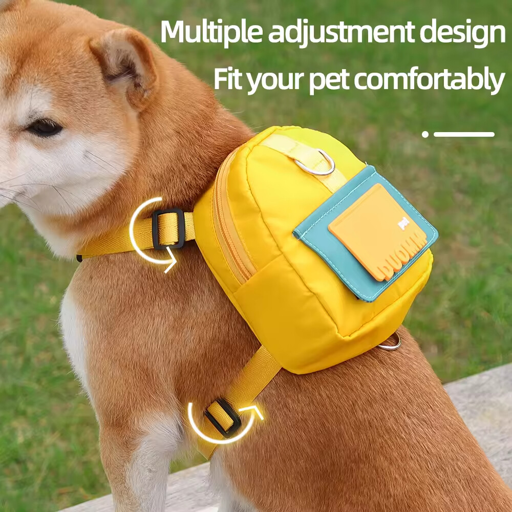 Travel Outdoor Dog Leash with Backpack Bag