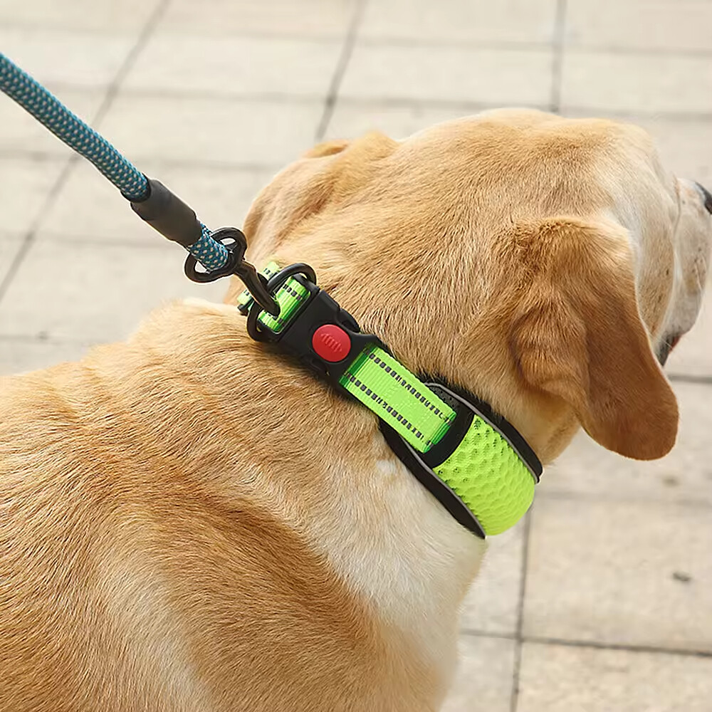 Breathable Dog Collar with Reflective Light Strip