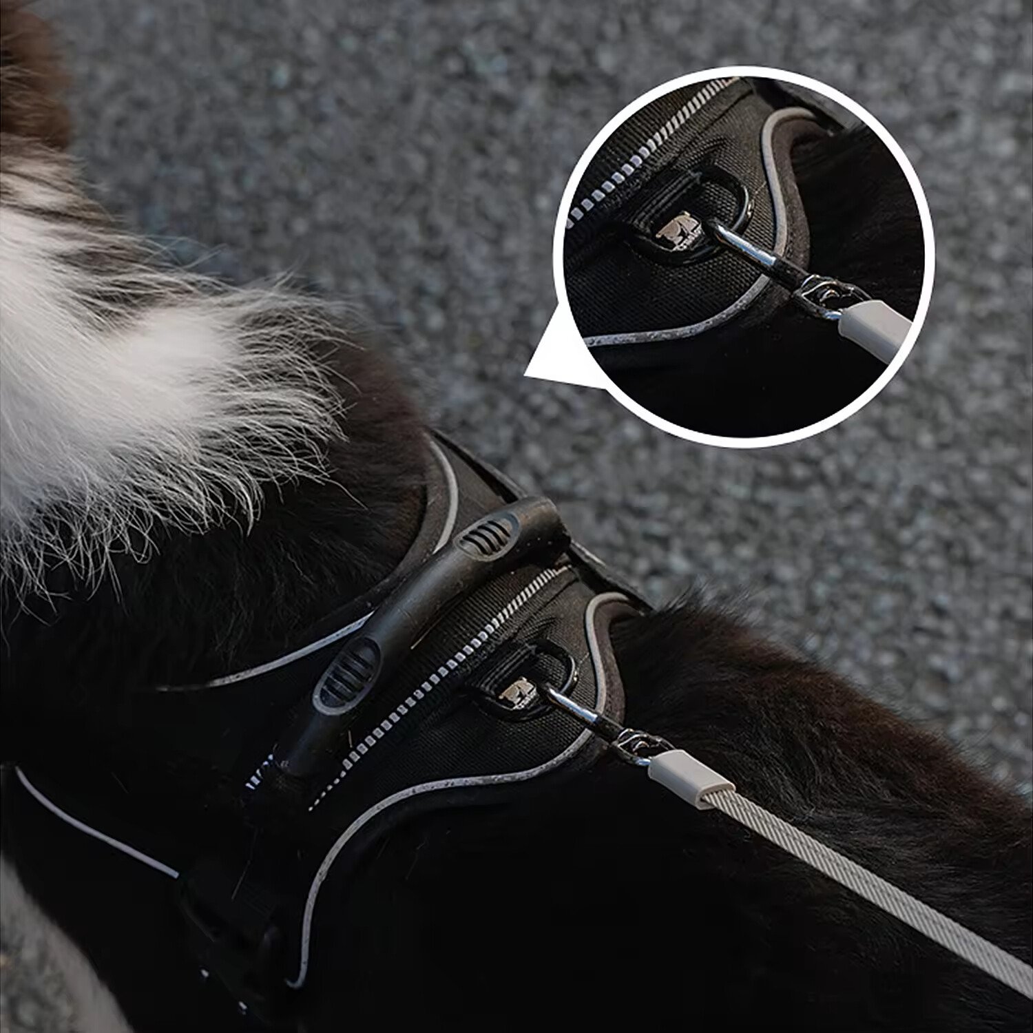 3M Dog Round Retractable Leash with LED Light