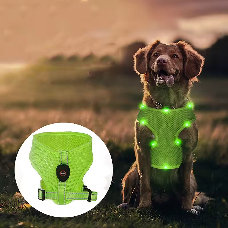 Outdoor Blue Red Green Breathable Dog Harness Led