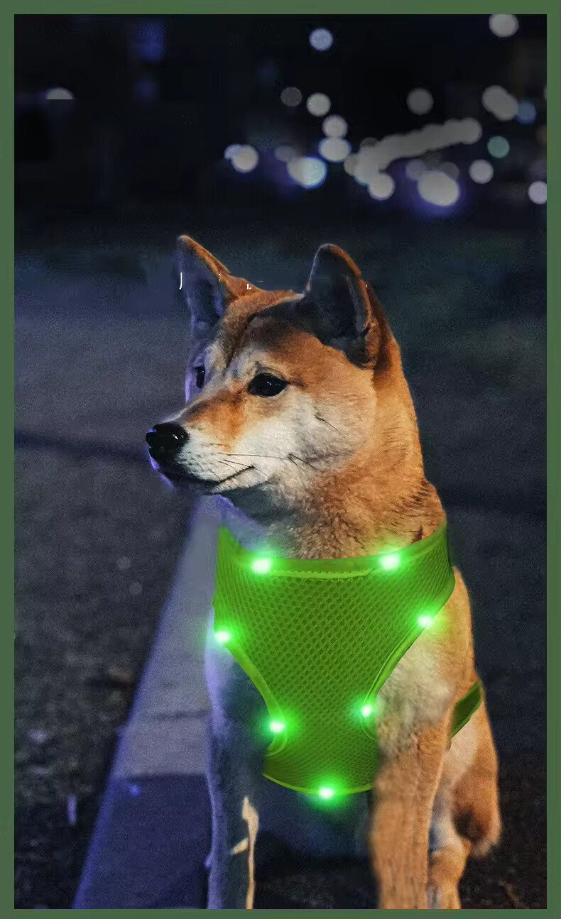 Outdoor Blue Red Green Breathable Dog Harness Led