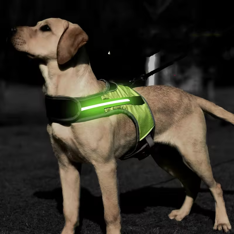 Outdoor Breathable Led Dog Harness