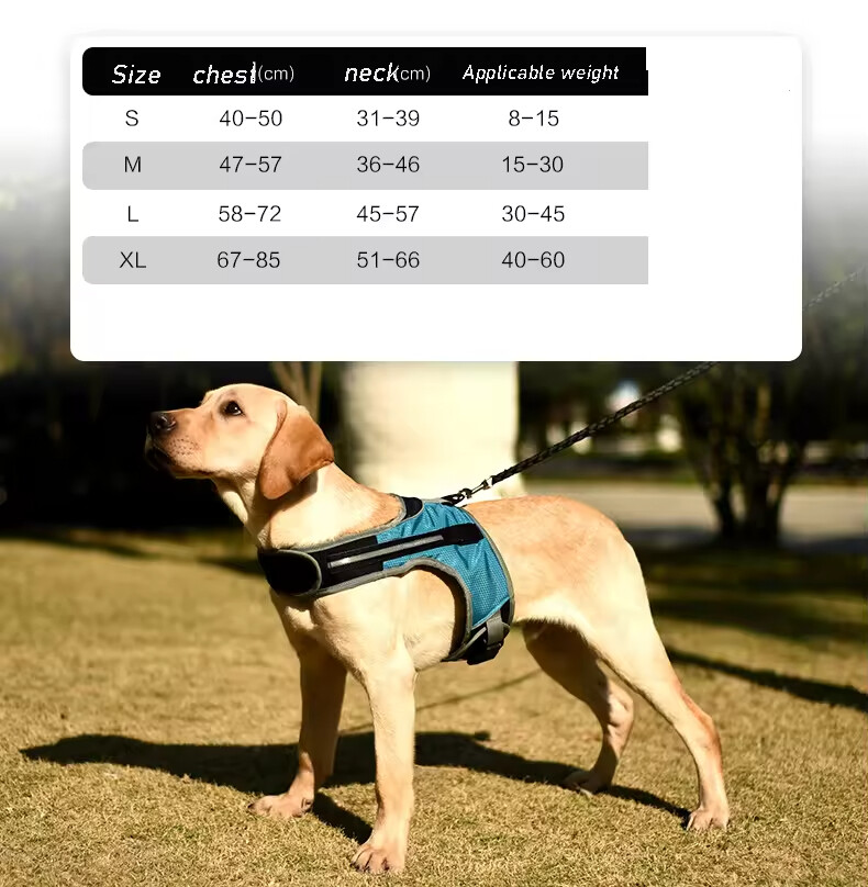 Outdoor Breathable Led Dog Harness