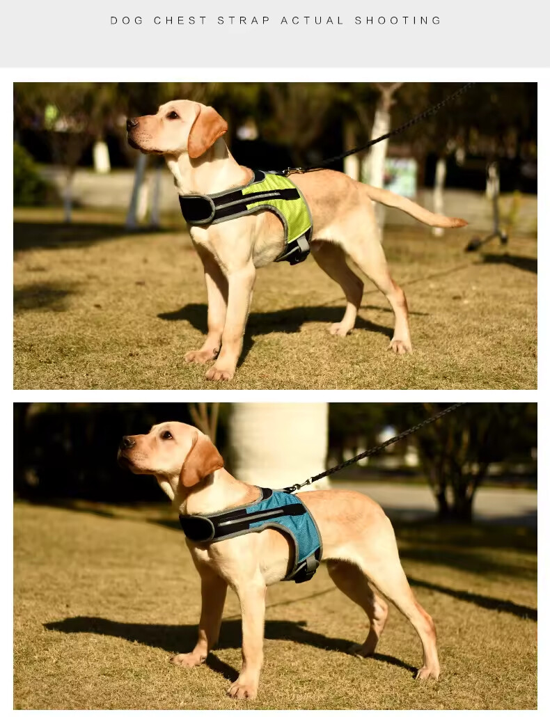 Outdoor Breathable Led Dog Harness