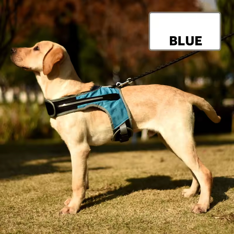 Outdoor Breathable Led Dog Harness