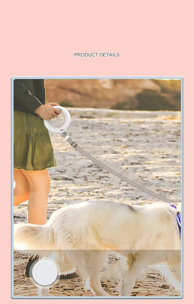 Round Led Retractable Dog Leash with Biodegradable Poop Bag