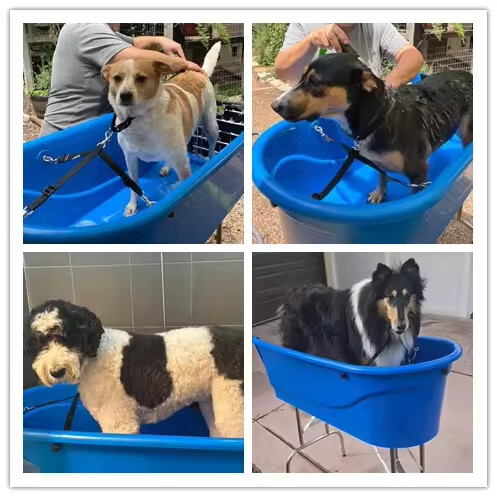Portable Dog Tub
