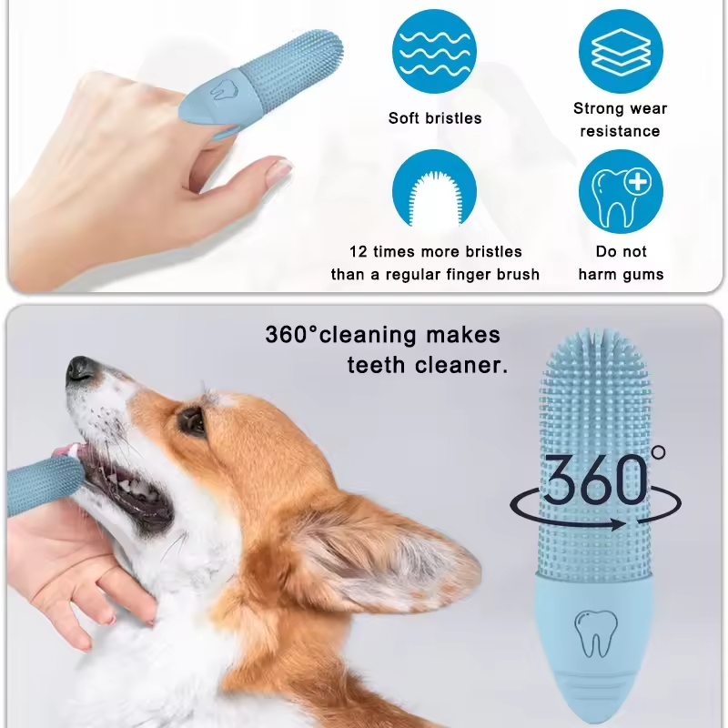 Pet Teeth Cleaning