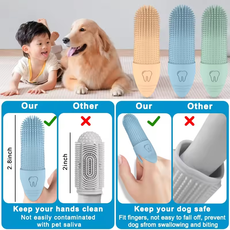 Pet Teeth Cleaning