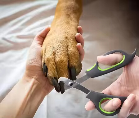 Pet Nail Clippers