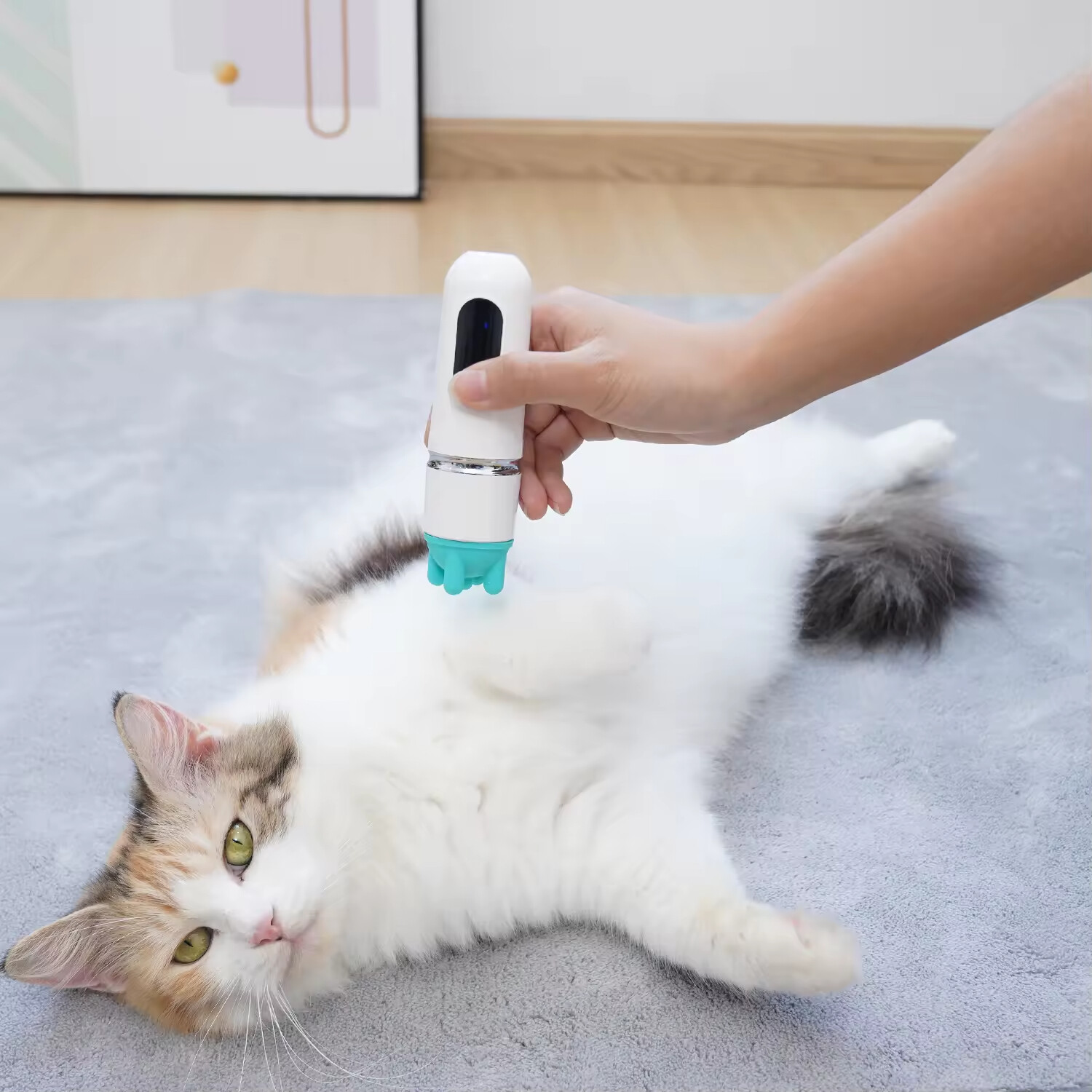 Electric Silicone Five Heads Replaceable Rechargeable Pet Cat Massager