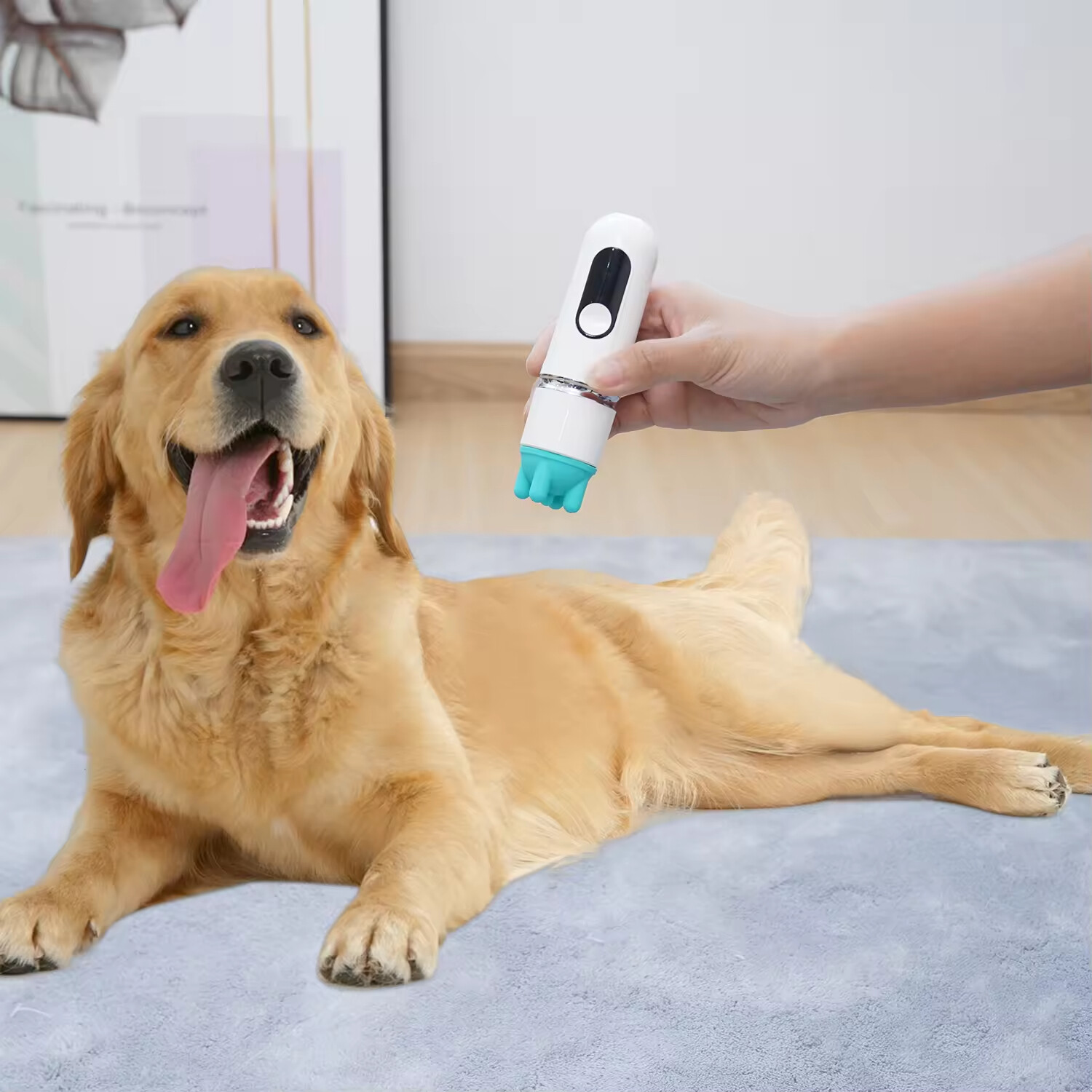 Electric Silicone Five Heads Replaceable Rechargeable Pet Cat Massager