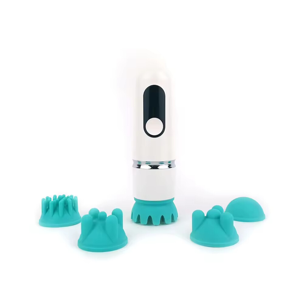 Electric Silicone Five Heads Replaceable Rechargeable Pet Cat Massager