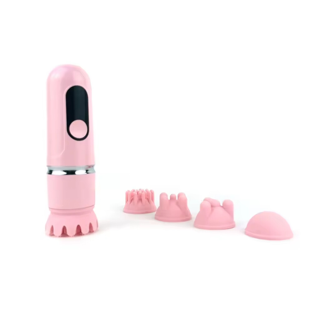 Electric Silicone Five Heads Replaceable Rechargeable Pet Cat Massager