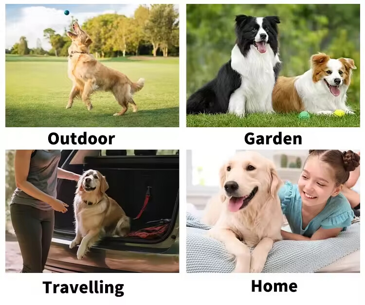 Pet Cleaning Grooming Gloves Wipes