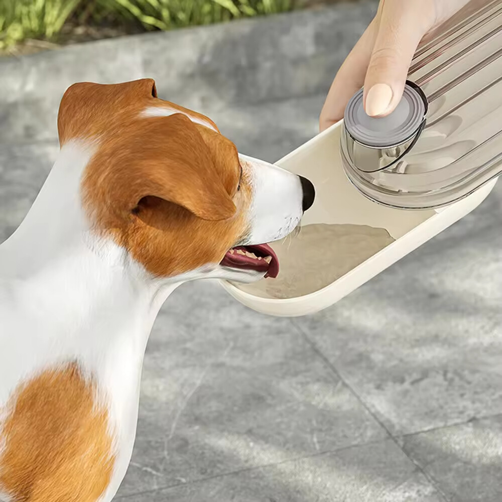 Portable Travel Cheap Pet Dog Water Bottle With Food Storage