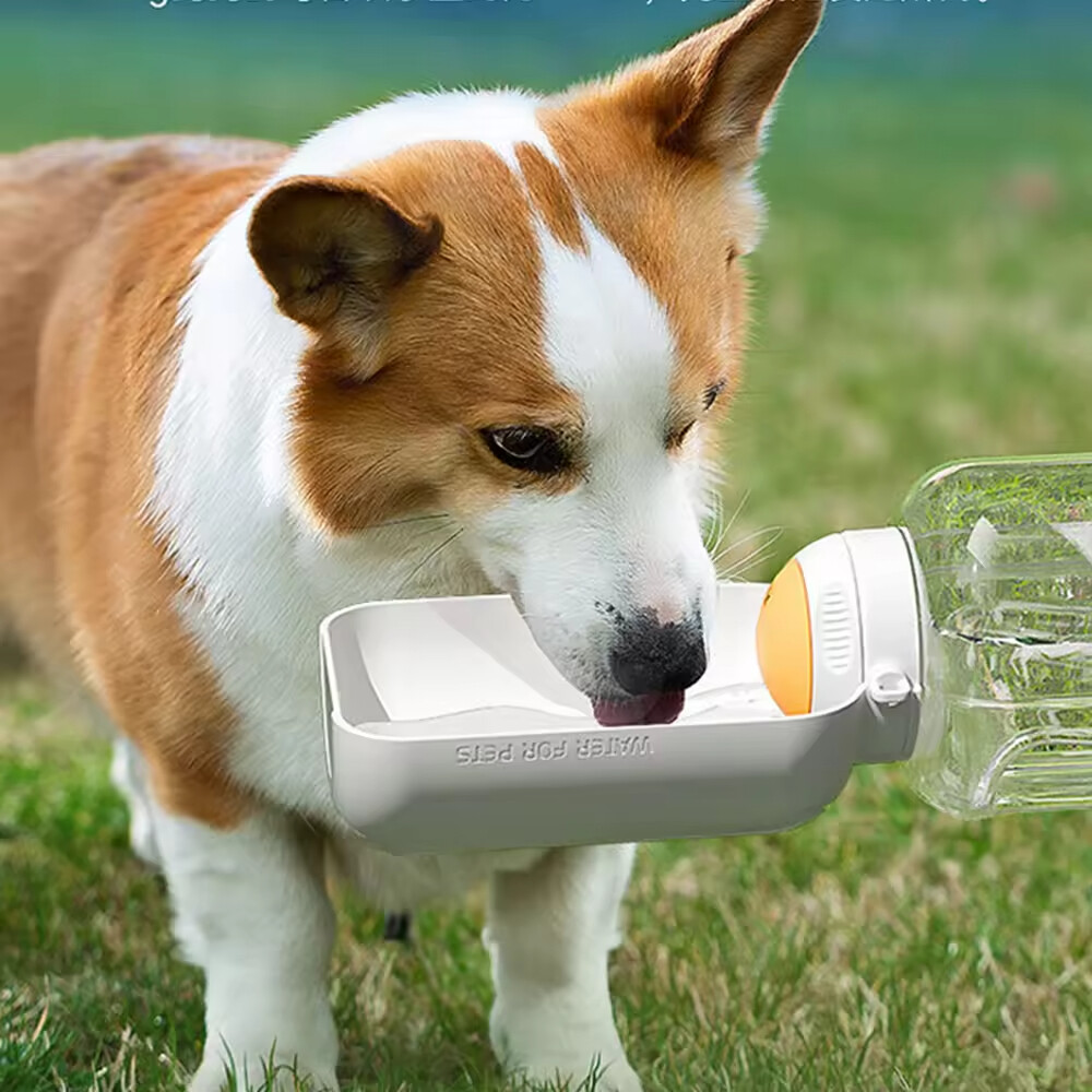 Outdoor Travel Portable Dog Water Bottle