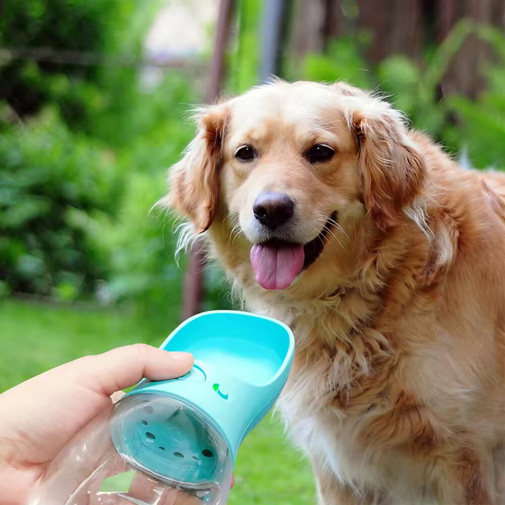 Portable Pet Dog Water