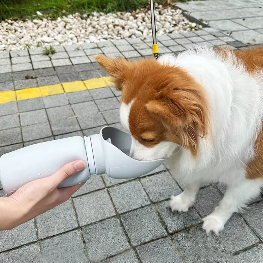 Silicone Foldable Dog Water Bottle