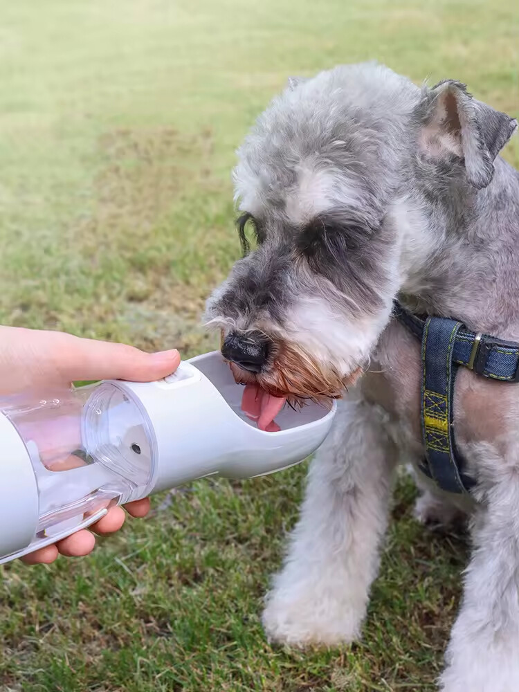 4 in 1 Portable Dog Water Bottle