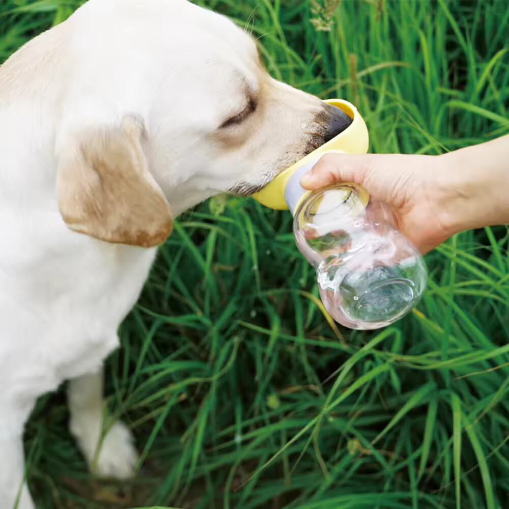 Portable Dog Water Bottle Cloud Design