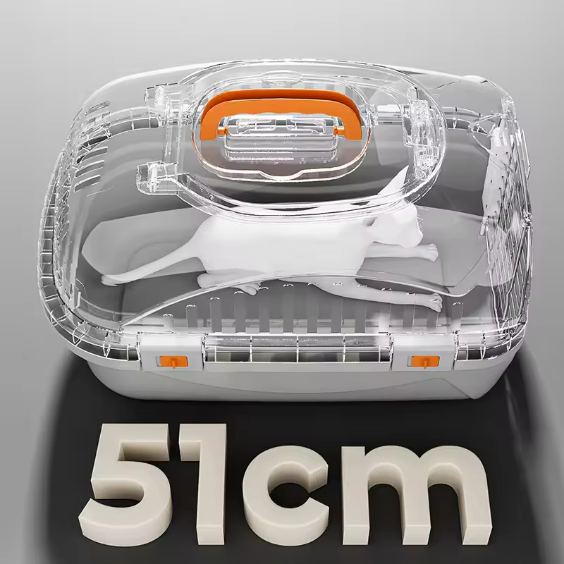 Plastic Ventilated Air Transport Box