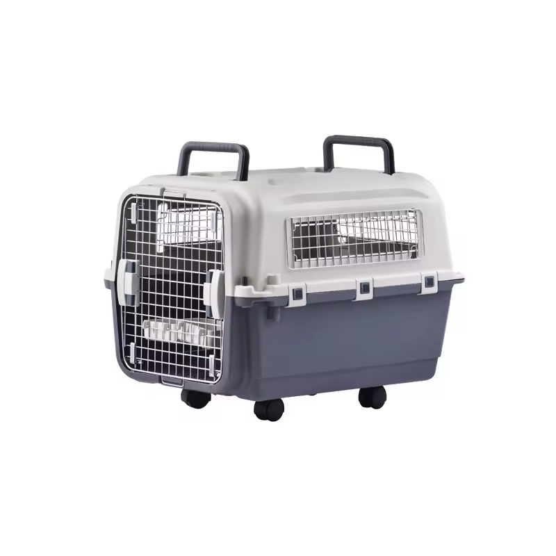 Pet Travel Carrier