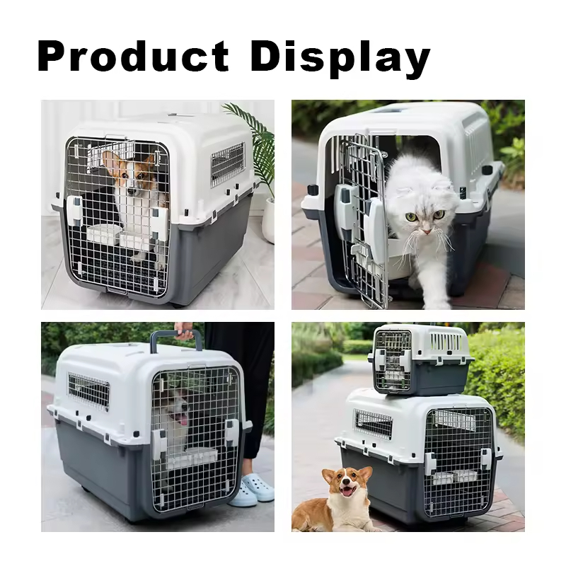 Pet Travel Carrier
