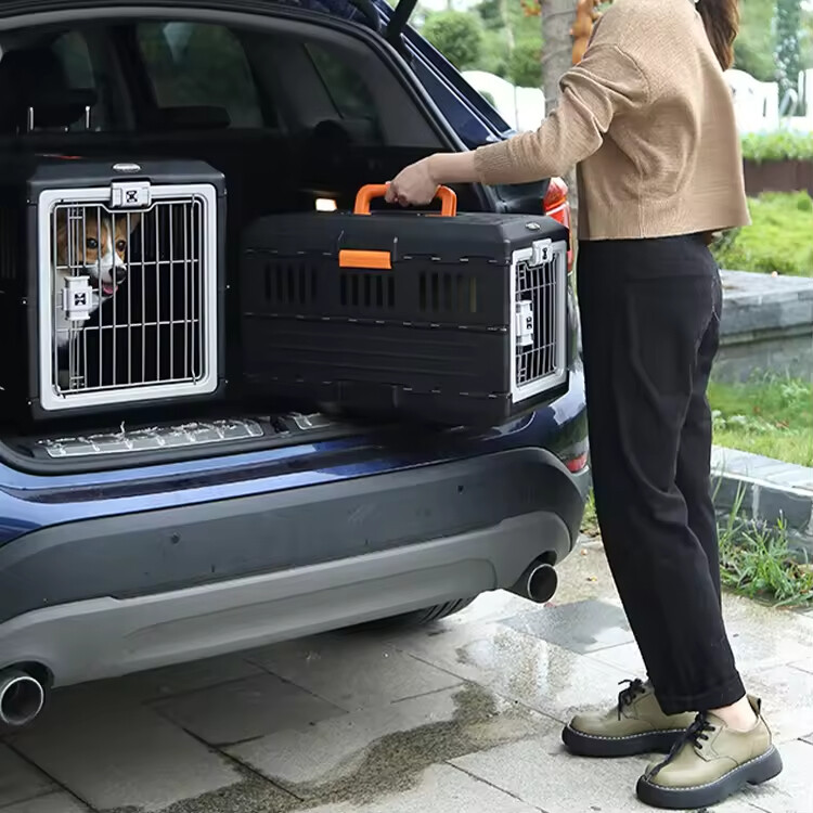Flight Transport Pet Air Box
