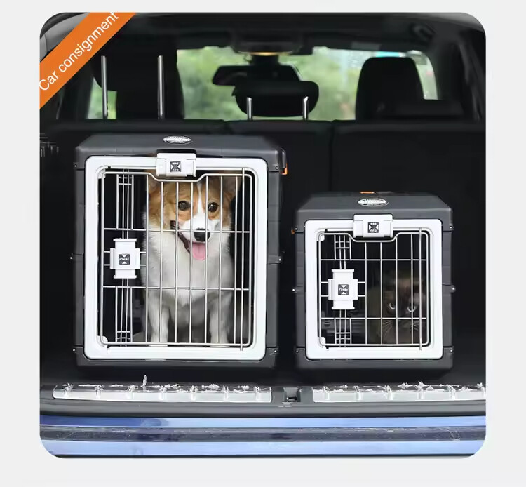 Flight Transport Pet Air Box